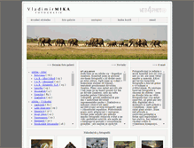 Tablet Screenshot of mikafoto.com
